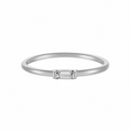 Anillo Lunaria